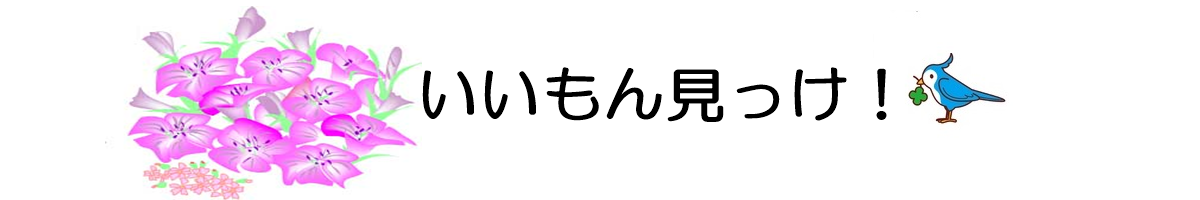 いいもん見っけ！